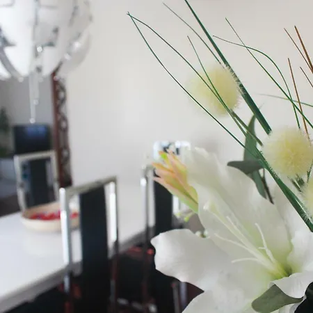 My - My Apartamento